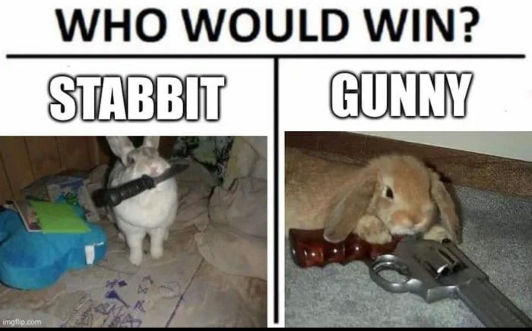 
WHO WOULD WIN?
STABBIT
GUNNY