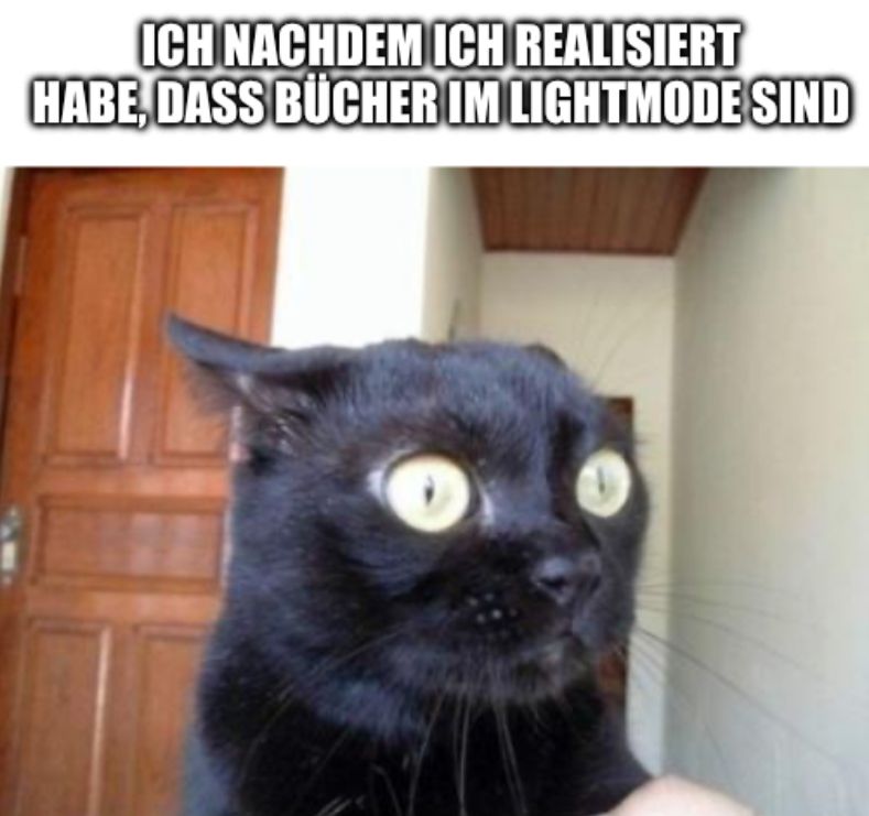 Eine schwarze Katze mit großen, runden Augen und leicht zurückgelegten Ohren. Über dem Kopf der Katze steht geschrieben: "Ich nachdem ich realisiert habe, dass Bücher im Lightmode sind."