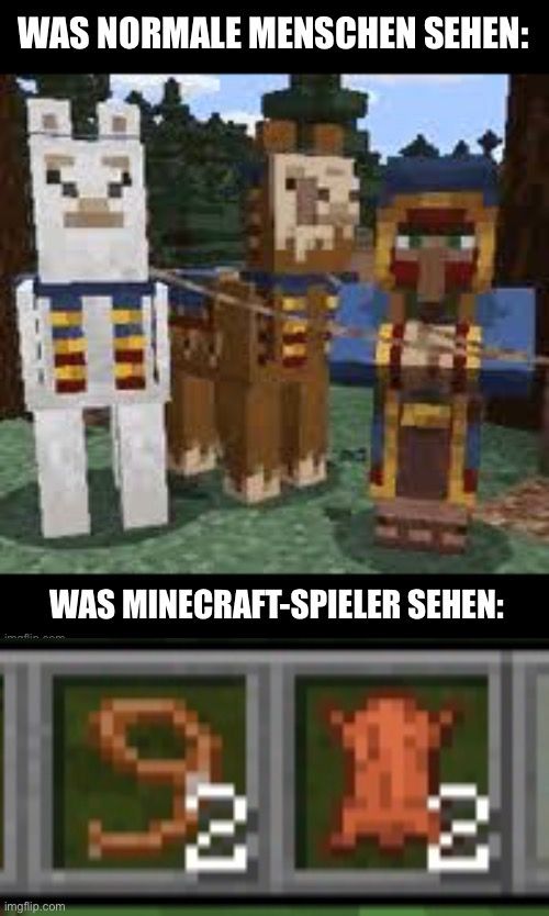 WAS NORMALE MENSCHEN SEHEN:
WAS MINECRAFT-SPIELER SEHEN:
1
