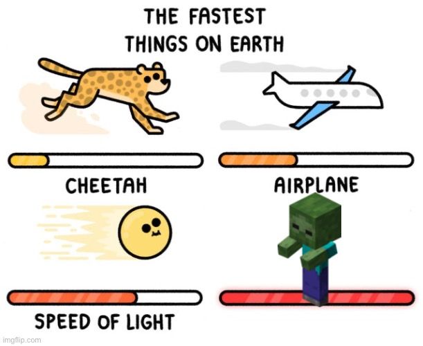 THE FASTEST
THINGS ON EARTH
CHEETAH
AIRPLANE
SPEED OF LIGHT
