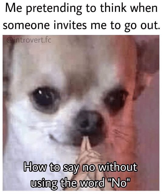 Me pretending to think when
someone invites me to go out.
@introvert.fc
How to say no without
using the word "No"