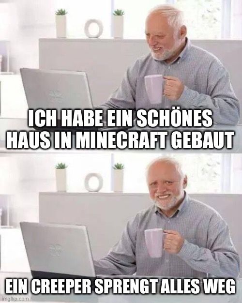 ICH HABE EIN SCHÖNES
HAUS IN MINECRAFT GEBAUT
101
EIN CREEPER SPRENGT ALLES WEG
