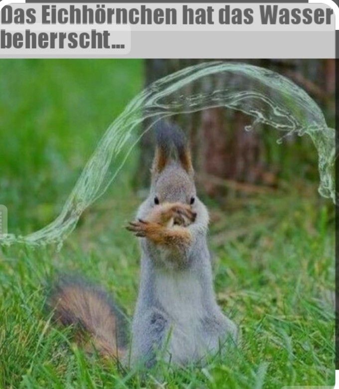 Ein Eichhörnchen steht aufrecht im Gras und scheint eine Wasserfontäne zu kontrollieren, die bogenförmig vor ihm aufsteigt. Der Text im Bild lautet: "Das Eichhörnchen hat das Wasser beherrscht..."