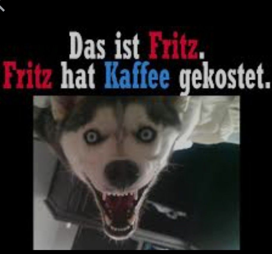 Ein Bild mit einem Husky, der sehr aggressiv aussieht. Über dem Hund steht in roter und blauer Schrift: "Das ist Fritz. Fritz hat Kaffee gekostet."