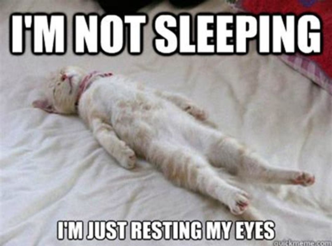 I'M NOT SLEEPING
I'M JUST RESTING MY EYES
quickmeme.com