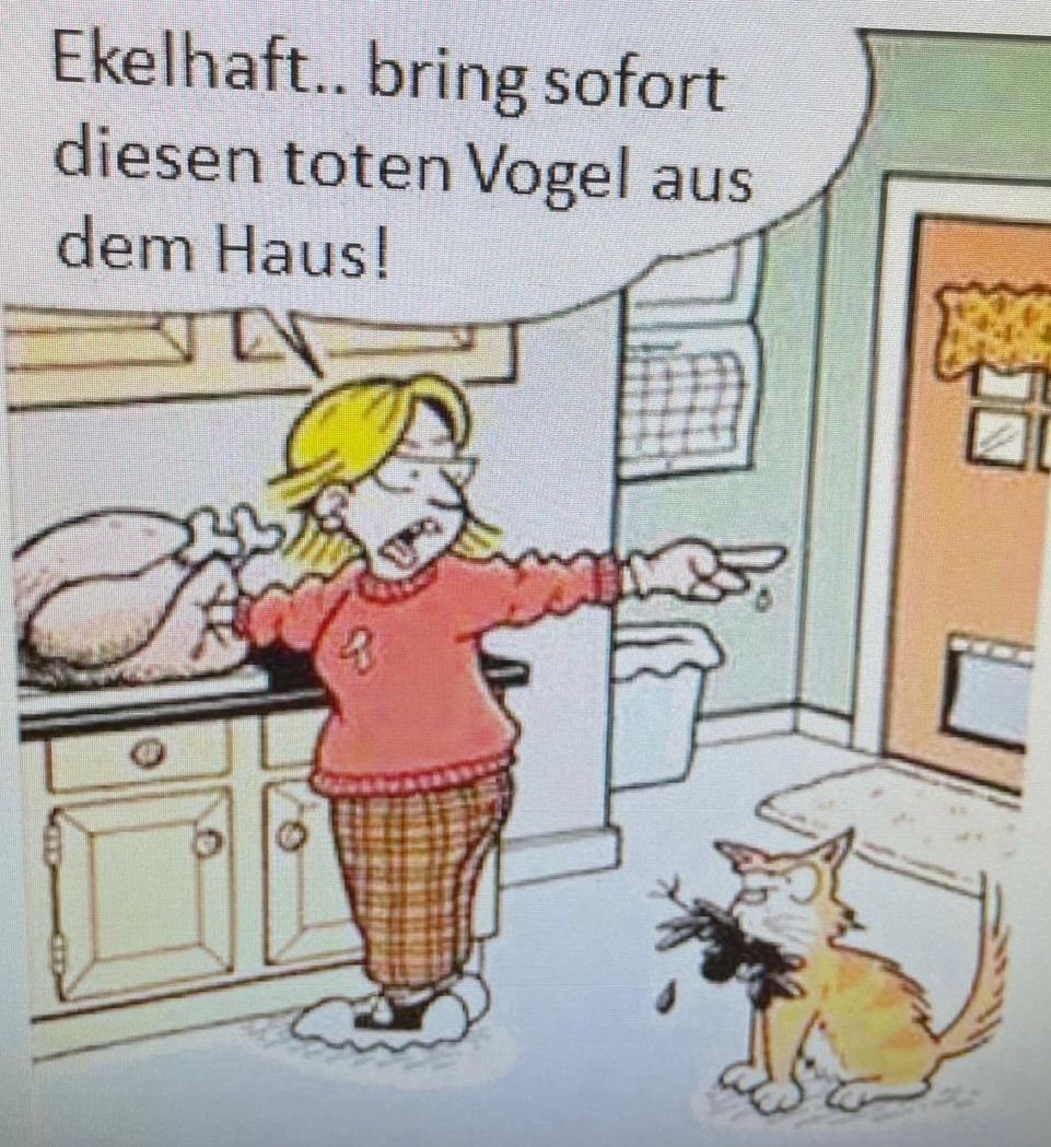 Ekelhaft.. bring sofort
diesen toten Vogel aus
dem Haus!