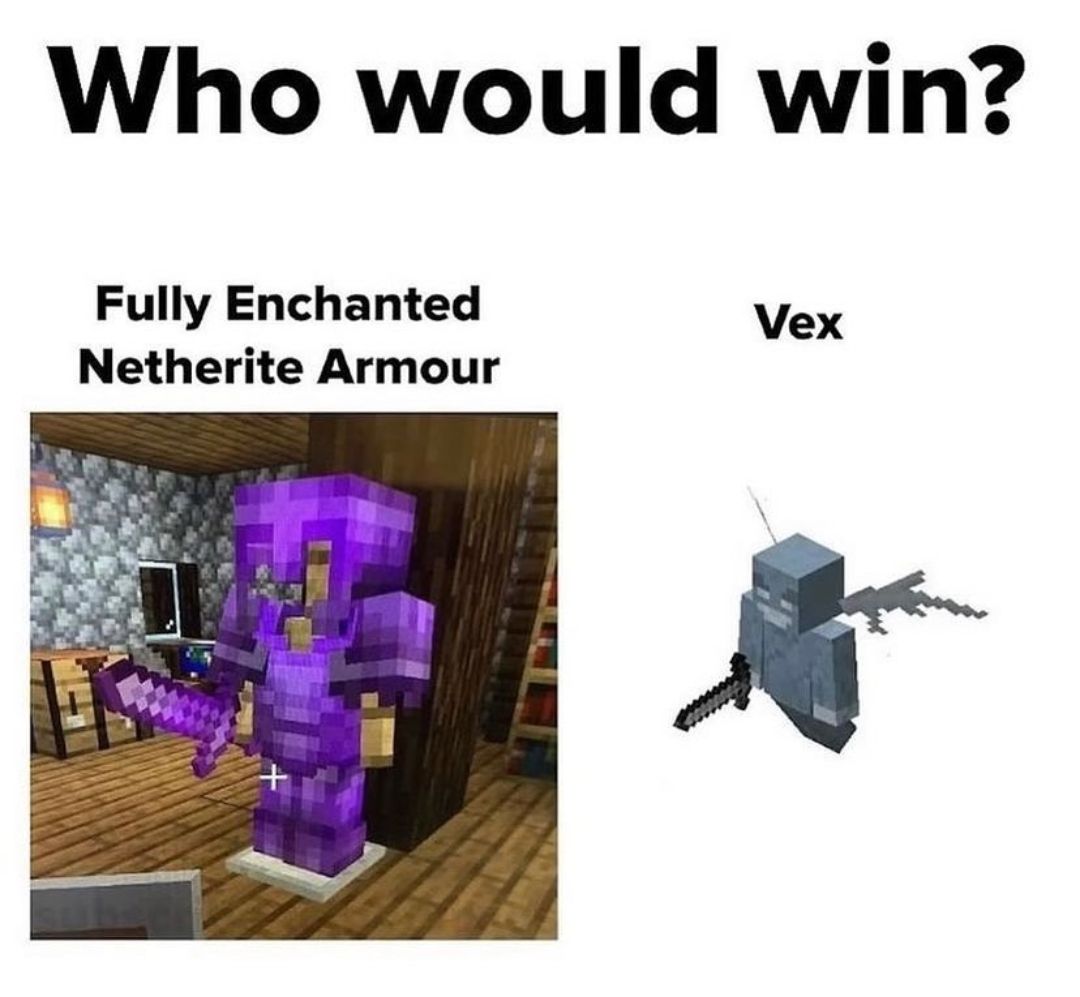 Who would win?
Fully Enchanted
Netherite Armour
Vex