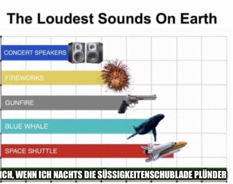 The Loudest Sounds On Earth
CONCERT SPEAKERS
FIREWORKS
GUNFIRE
BLUE WHALE
SPACE SHUTTLE
CH, WENN ICH NACHTS DIE SÜSSIGKEITENSCHUBLADE PLUNDER