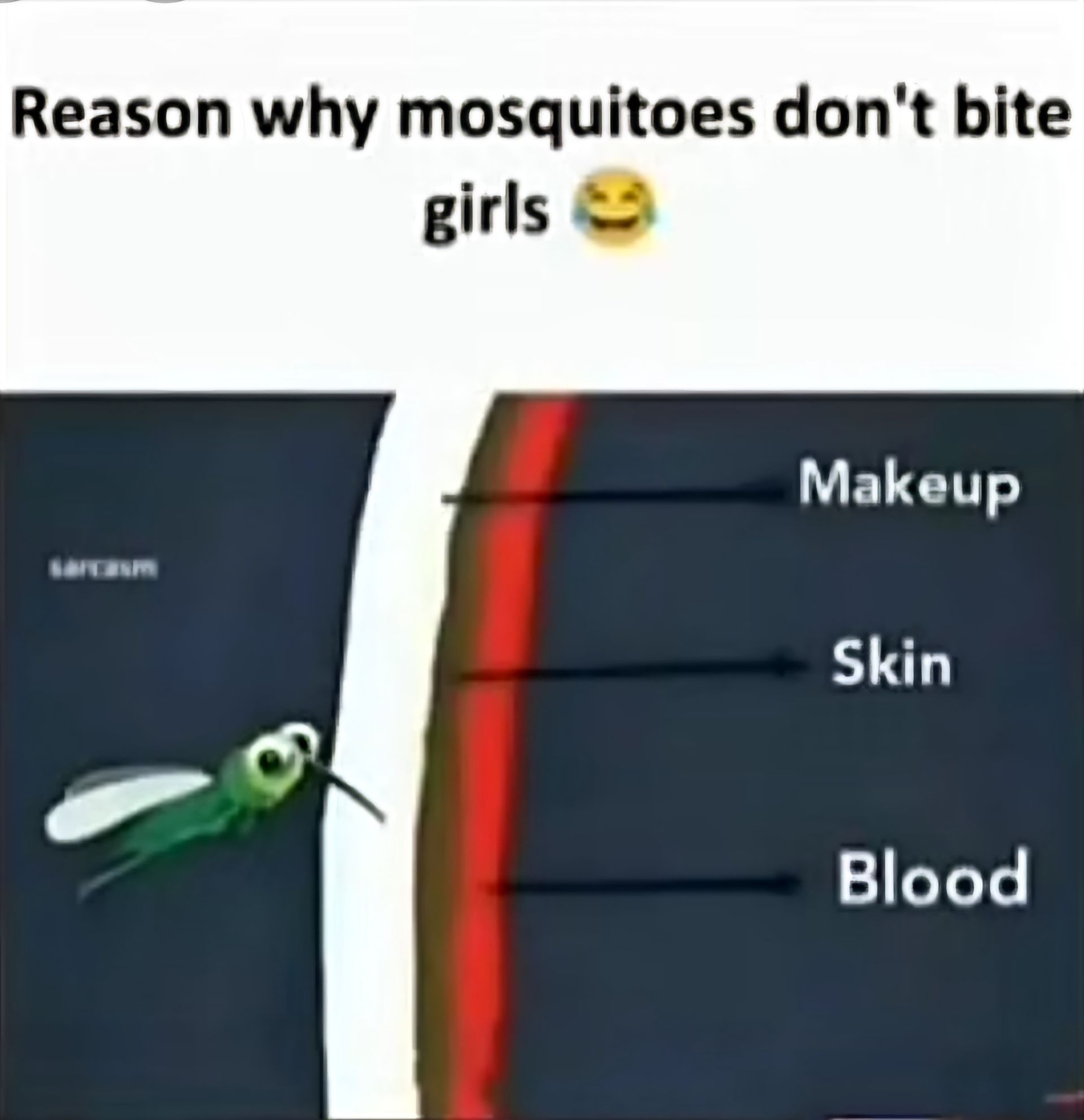 Reason why mosquitoes don't bite
girls
sarcasm
Makeup
Skin
Blood