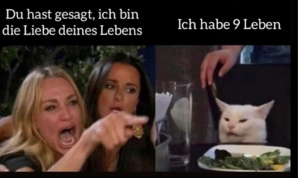 Du hast gesagt, ich bin
die Liebe deines Lebens
Ich habe 9 Leben