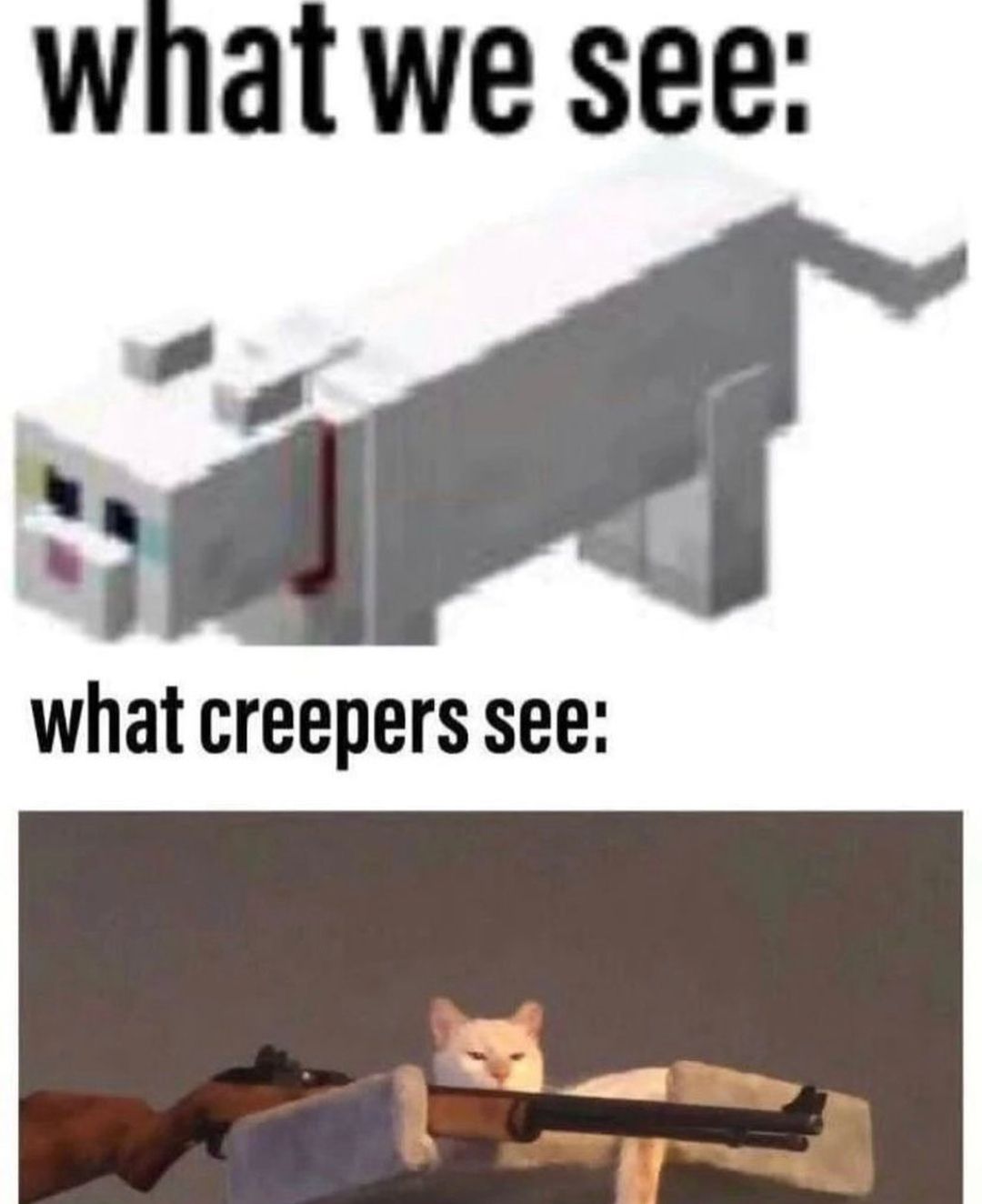 what we see:
what creepers see: