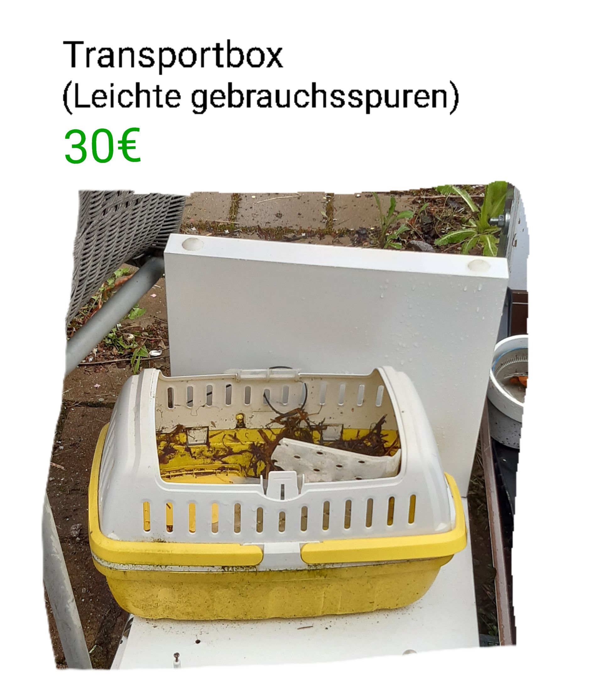 Transportbox
(Leichte gebrauchsspuren)
30€
|||||