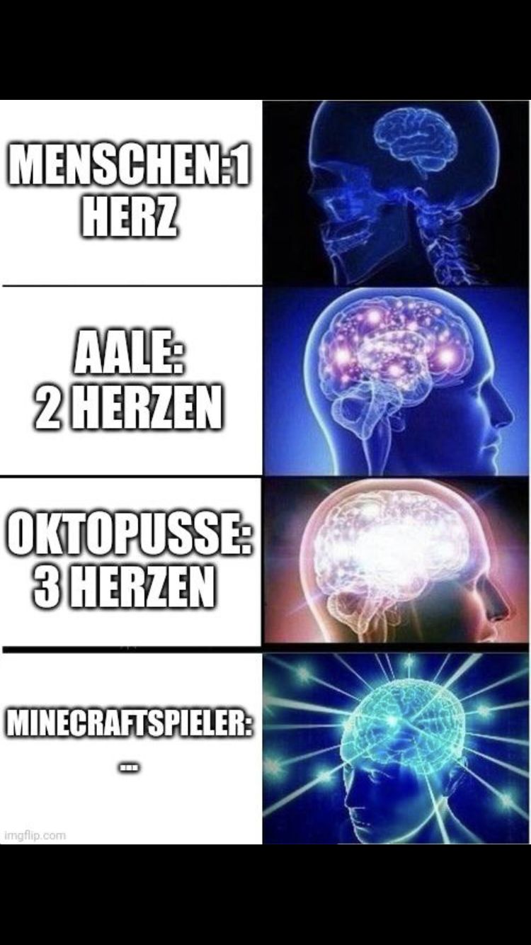 MENSCHEN:1
HERZ
AALE:
2 HERZEN
OKTOPUSSE:
3 HERZEN
MINECRAFTSPIELER:
