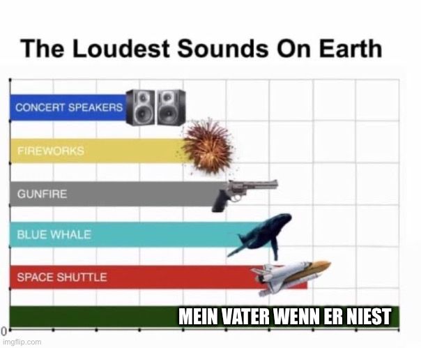 The Loudest Sounds On Earth
CONCERT SPEAKERS
FIREWORKS
GUNFIRE
BLUE WHALE
SPACE SHUTTLE
0

MEIN VATER WENN ER NIEST