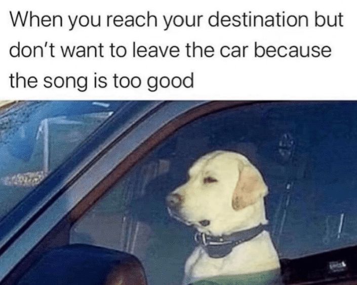 When you reach your destination but
don't want to leave the car because
the song is too good