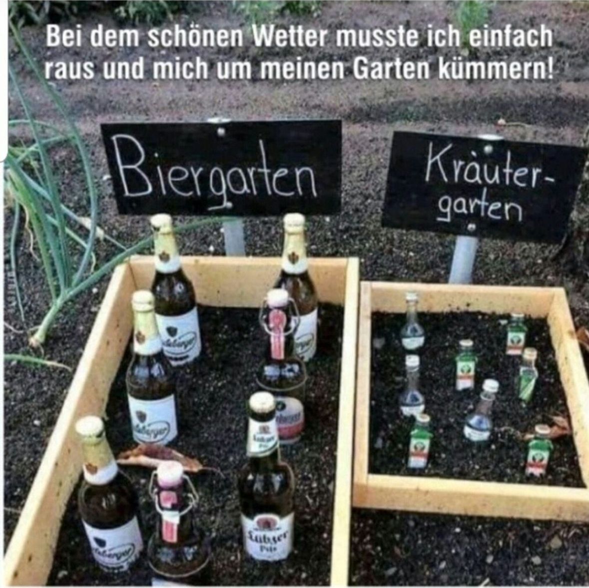 Bei dem schönen Wetter musste ich einfach
raus und mich um meinen Garten kümmern!
Biergarten
Kräuter-
garten
MIRISYS
Subser
P