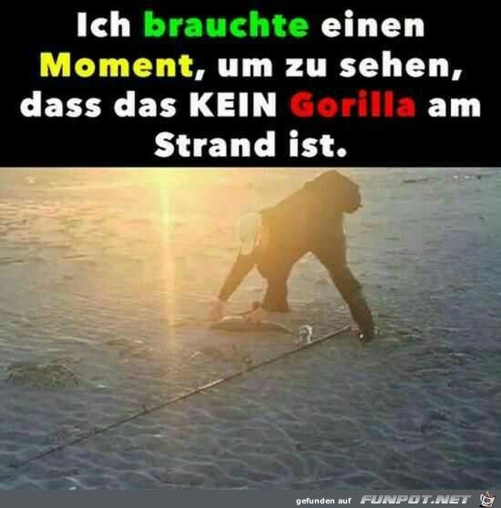 Ich brauchte einen
Moment, um zu sehen,
dass das KEIN Gorilla am
Strand ist.
gefunden auf FUNPOT.NET