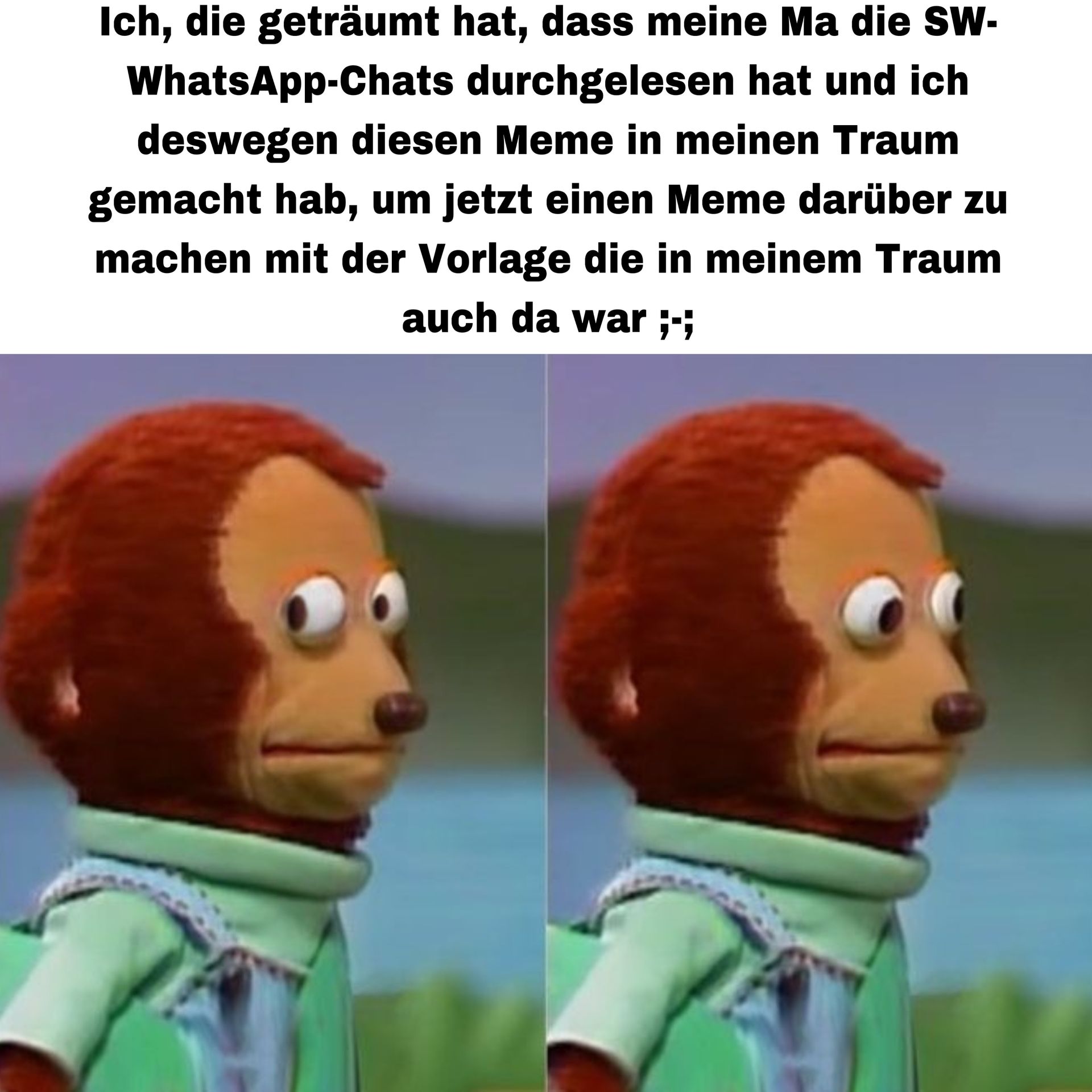 Ich, die geträumt hat, dass meine Ma die SW-
WhatsApp-Chats durchgelesen hat und ich
deswegen diesen Meme in meinen Traum
gemacht hab, um jetzt einen Meme darüber zu
machen mit der Vorlage die in meinem Traum
auch da war ;-;