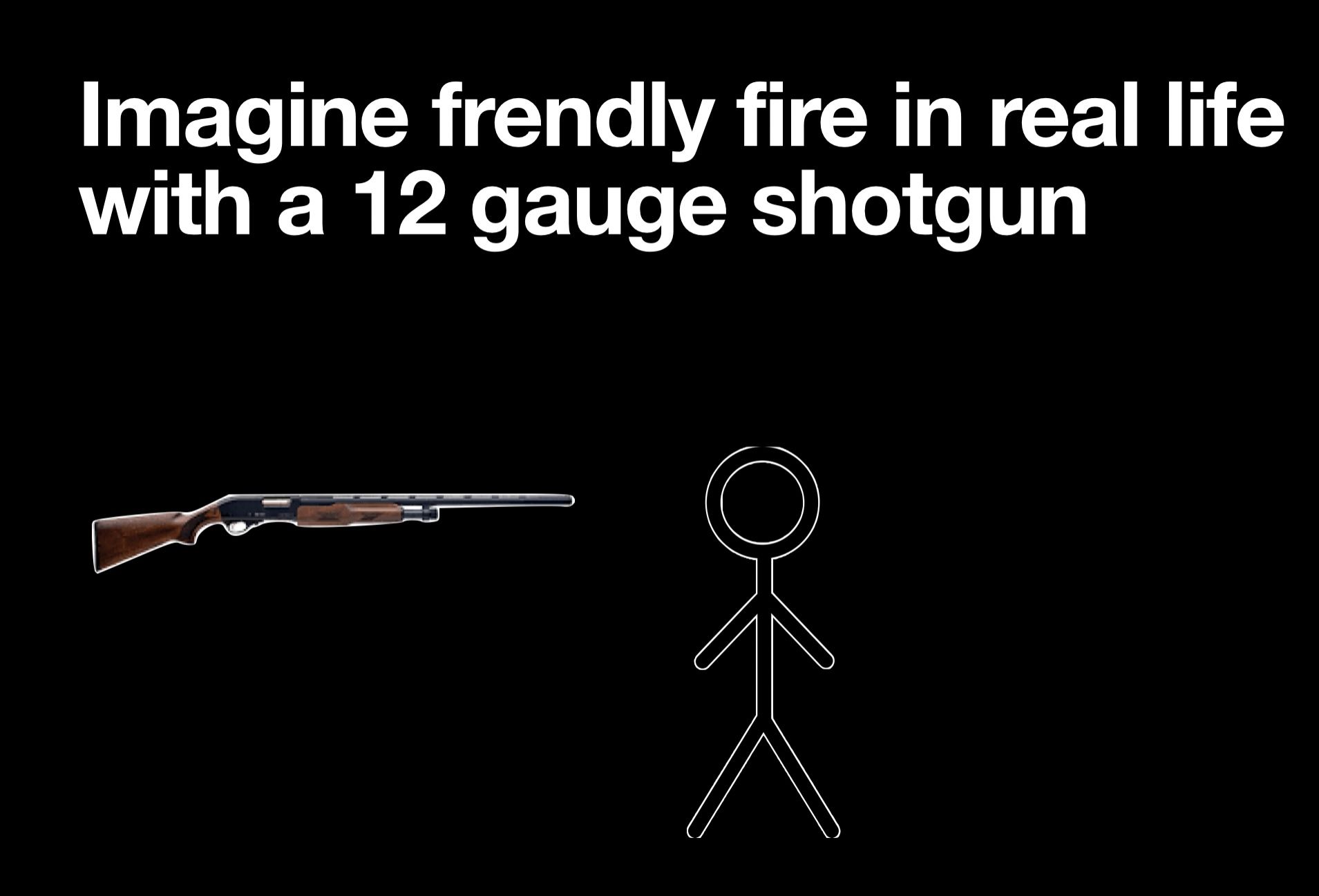 Imagine frendly fire in real life
with a 12 gauge shotgun