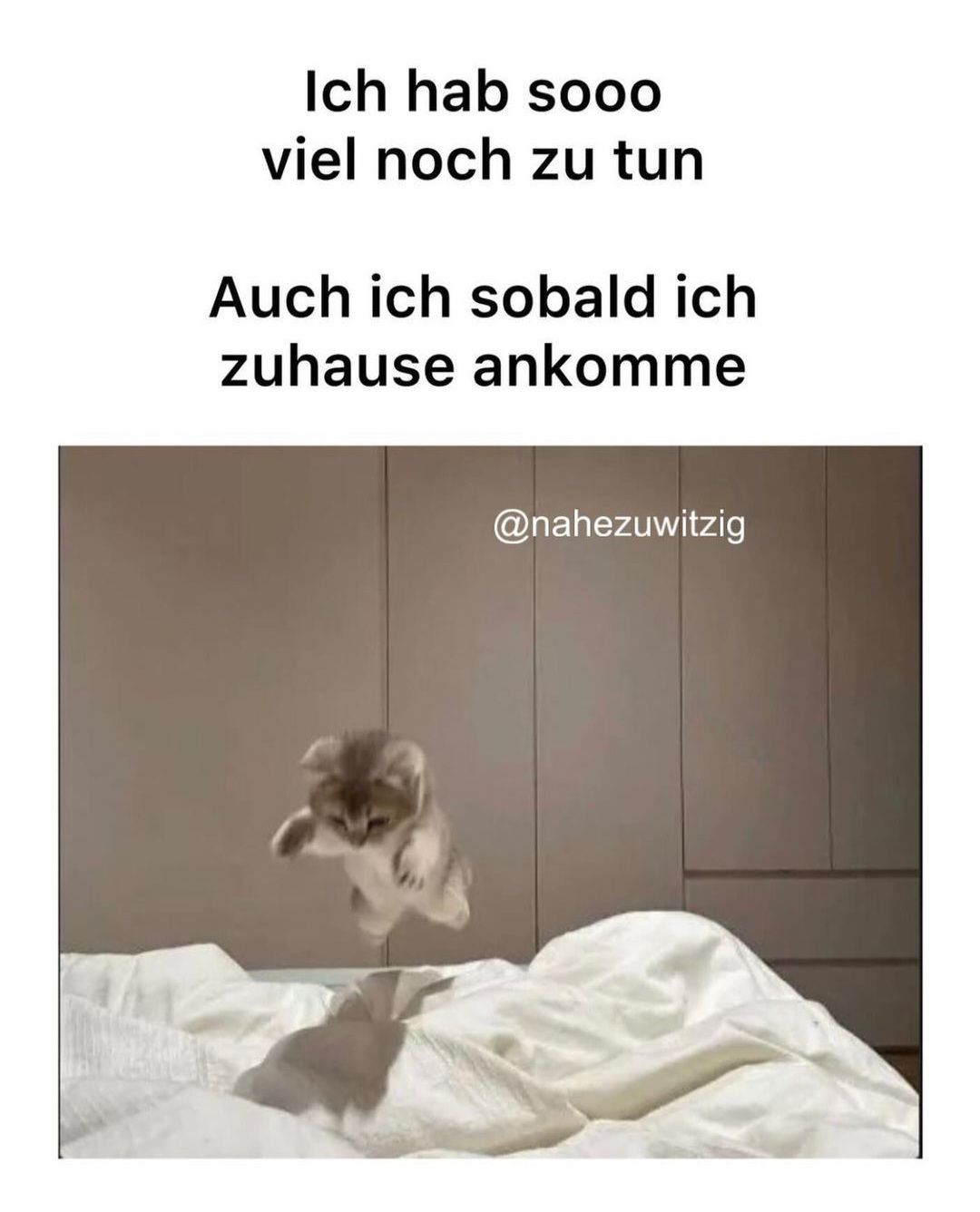 Ich hab soo0
viel noch zu tun
Auch ich sobald ich
zuhause ankomme
@nahezuwitzig