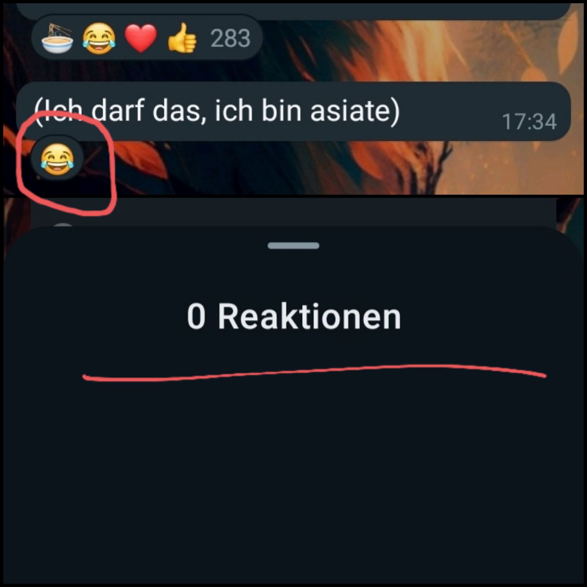 C
283
Ich darf das, ich bin asiate)
17:34
0 Reaktionen