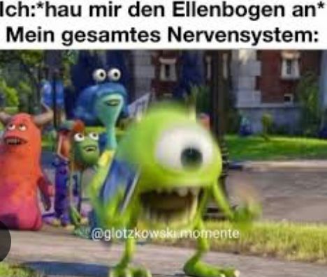 Ich:*hau mir den Ellenbogen an*
Mein gesamtes Nervensystem:
@glotzkowski momente