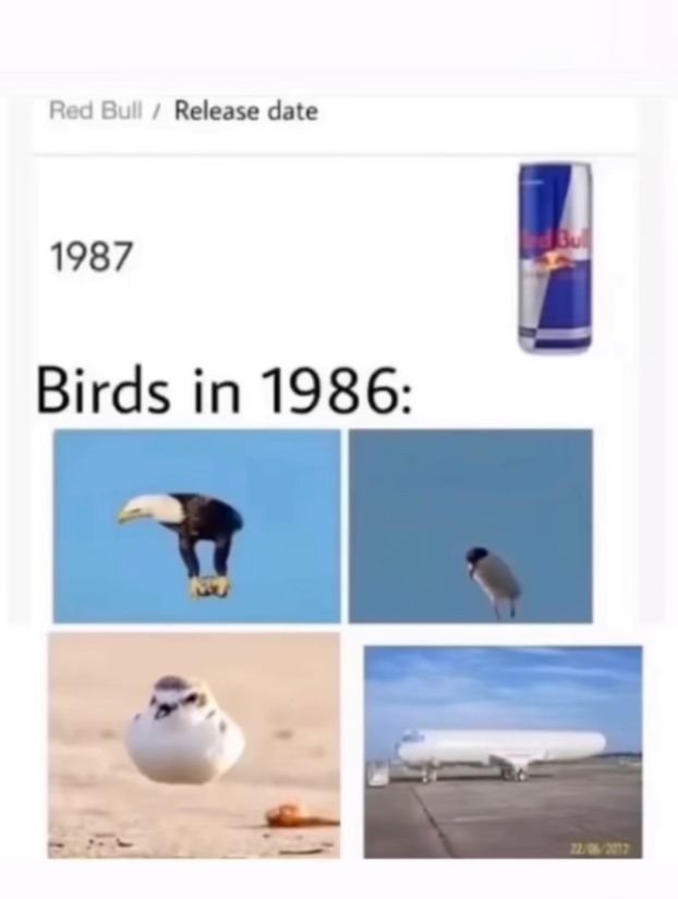 Red Bull / Release date
1987
Birds in 1986:
22/06/2012