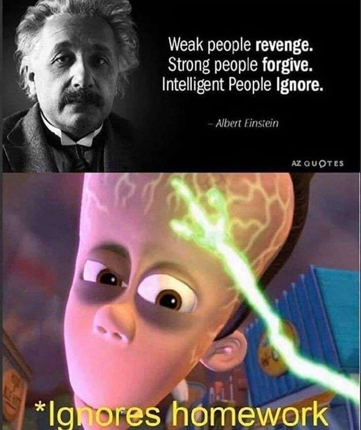 Weak people revenge.
Strong people forgive.
Intelligent People Ignore.
- Albert Einstein
AZ QUOTES
*Ignores homework