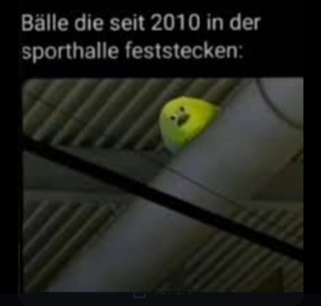 Bälle die seit 2010 in der
sporthalle feststecken: