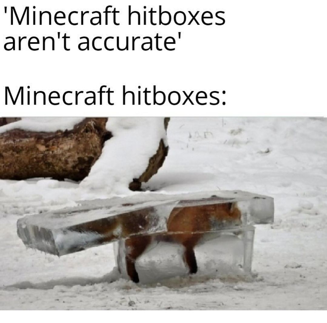 'Minecraft hitboxes
aren't accurate'
Minecraft hitboxes: