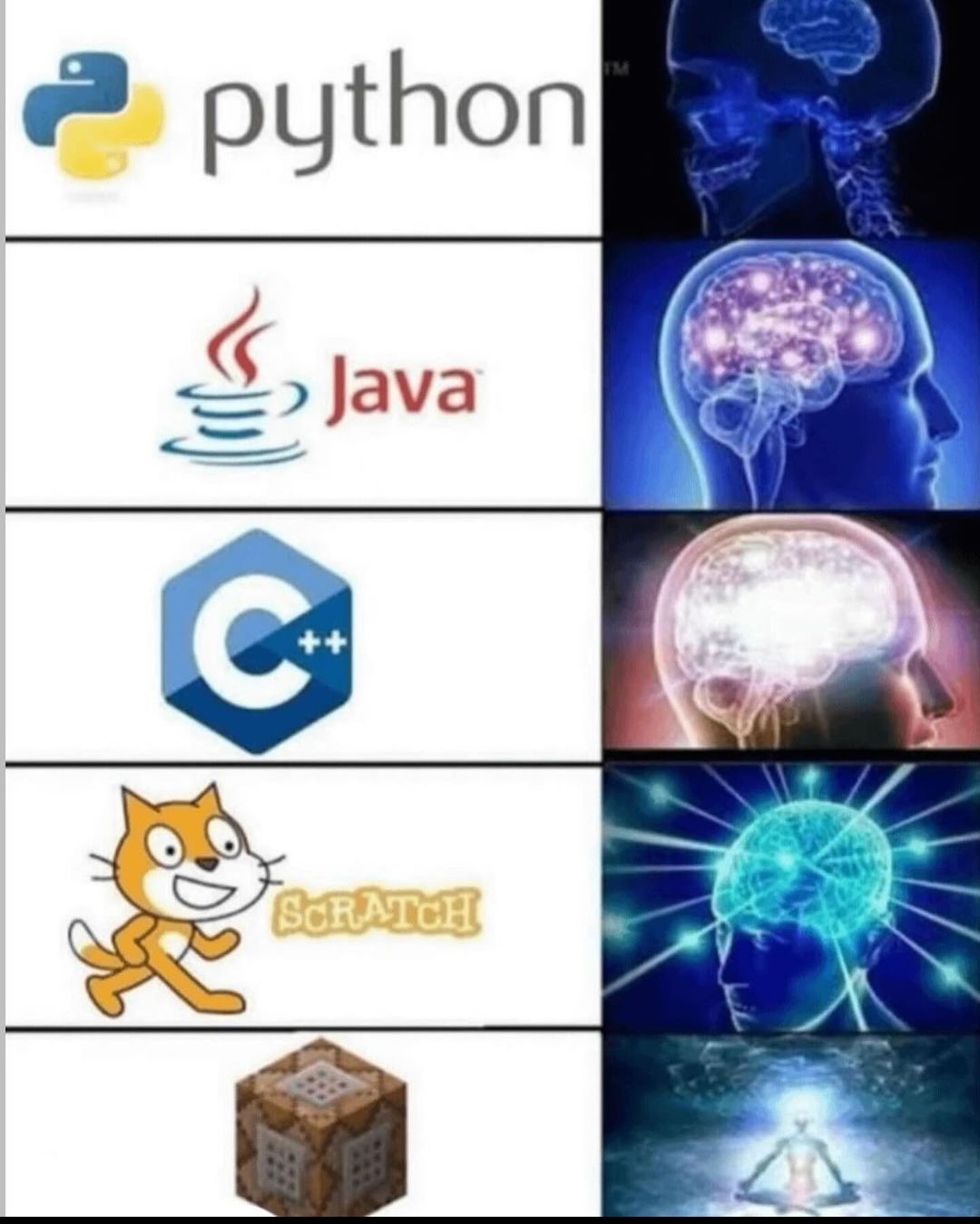 python
Java
++
G
SCRATCH