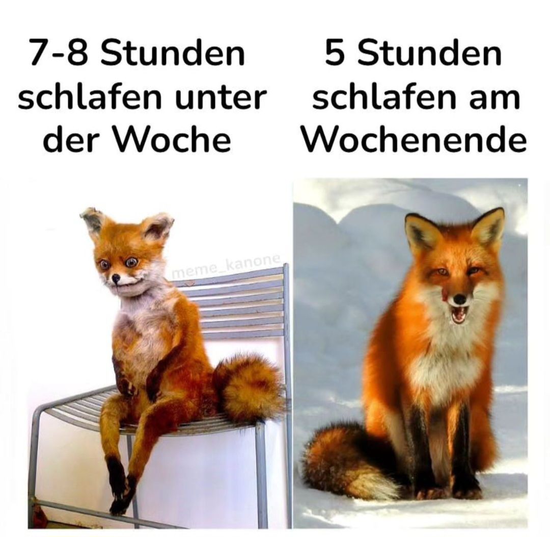 7-8 Stunden
schlafen unter
der Woche
5 Stunden
schlafen am
Wochenende
meme kanone