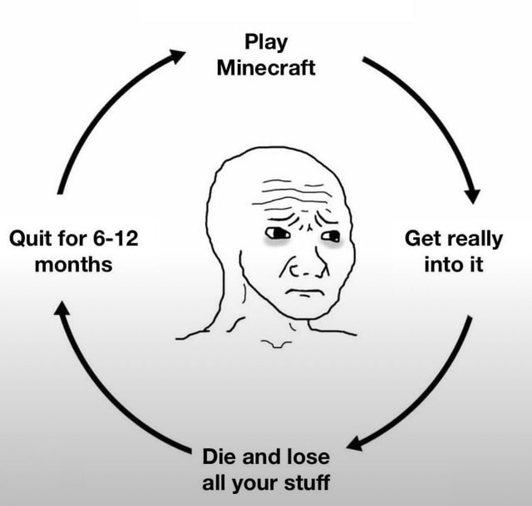 Quit for 6-12
months
Play
Minecraft
Die and lose
all your stuff
Get really
into it