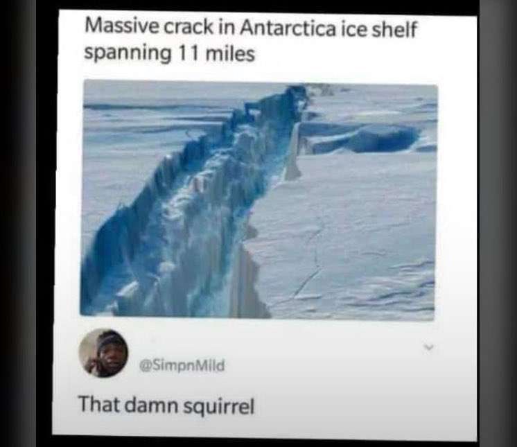 Massive crack in Antarctica ice shelf
spanning 11 miles
@SimpnMild
That damn squirrel