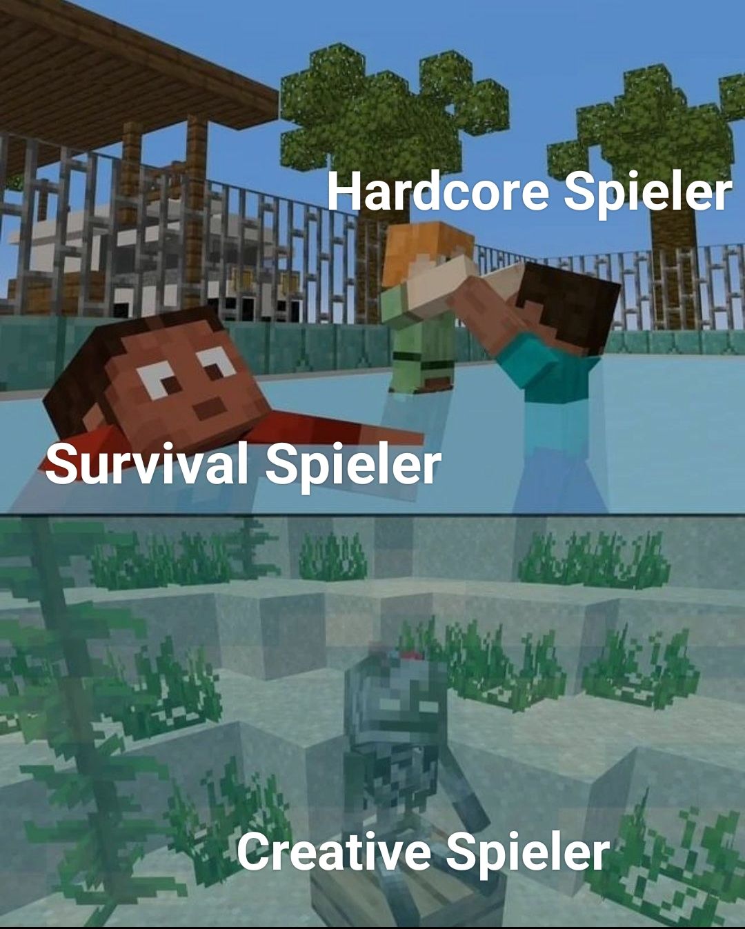 Hardcore Spieler
Survival Spieler
Creative Spieler