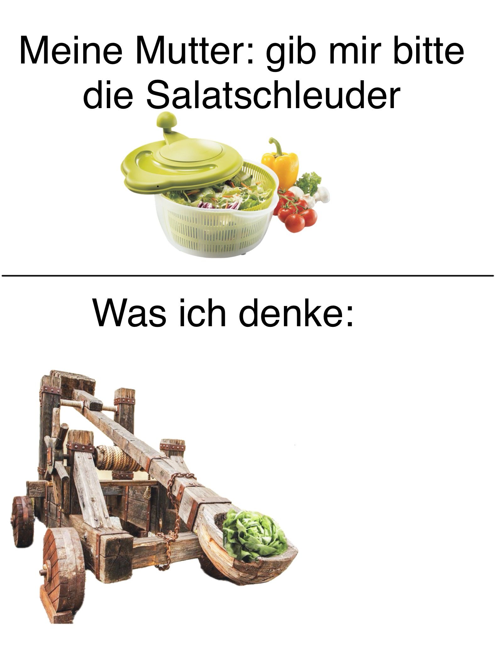 Oben ist eine Salatschleuder mit Salat und Gemüse zu sehen, darunter steht "Meine Mutter: gib mir bitte die Salatschleuder". Darunter befindet sich ein Bild eines Katapults, gefüllt mit Salat. Darüber steht "Was ich denke:".