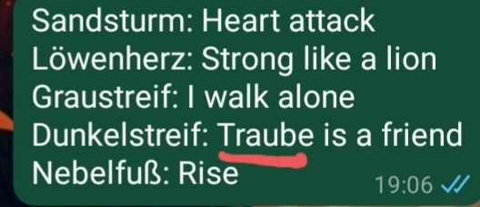 Sandsturm: Heart attack
Löwenherz: Strong like a lion
Graustreif: I walk alone
Dunkelstreif: Traube is a friend
Nebelfuẞ: Rise
19:06