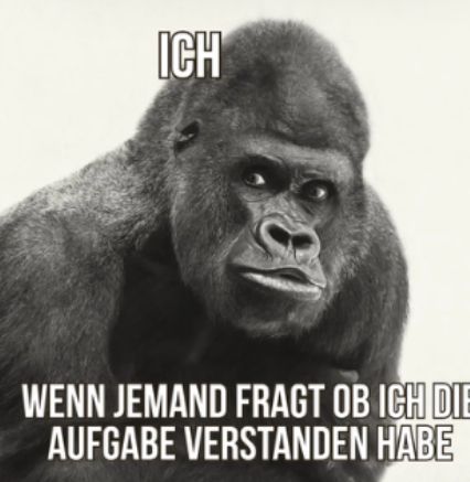 Ein Gorilla schaut skeptisch in die Kamera. Über ihm steht "ICH" und unter ihm "Wenn jemand fragt, ob ich die Aufgabe verstanden habe."