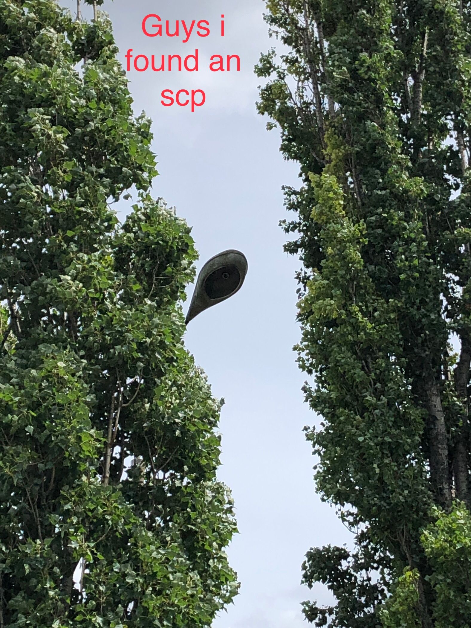 Guys i
found an
scp