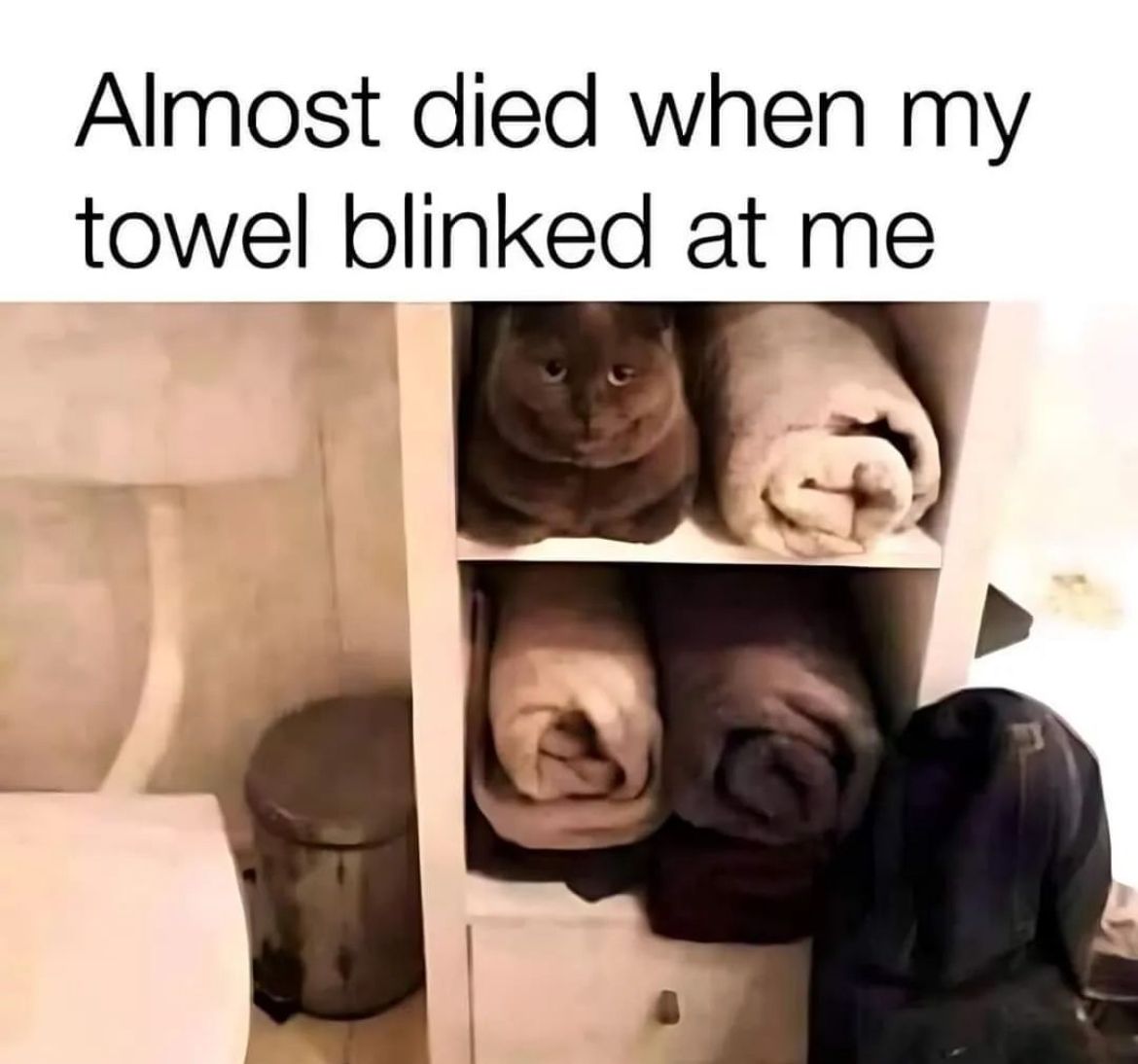 Almost died when my
towel blinked at me