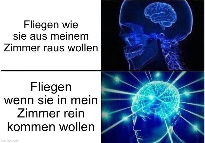 Fliegen wie
sie aus meinem
Zimmer raus wollen
Fliegen
wenn sie in mein
Zimmer rein
kommen wollen
