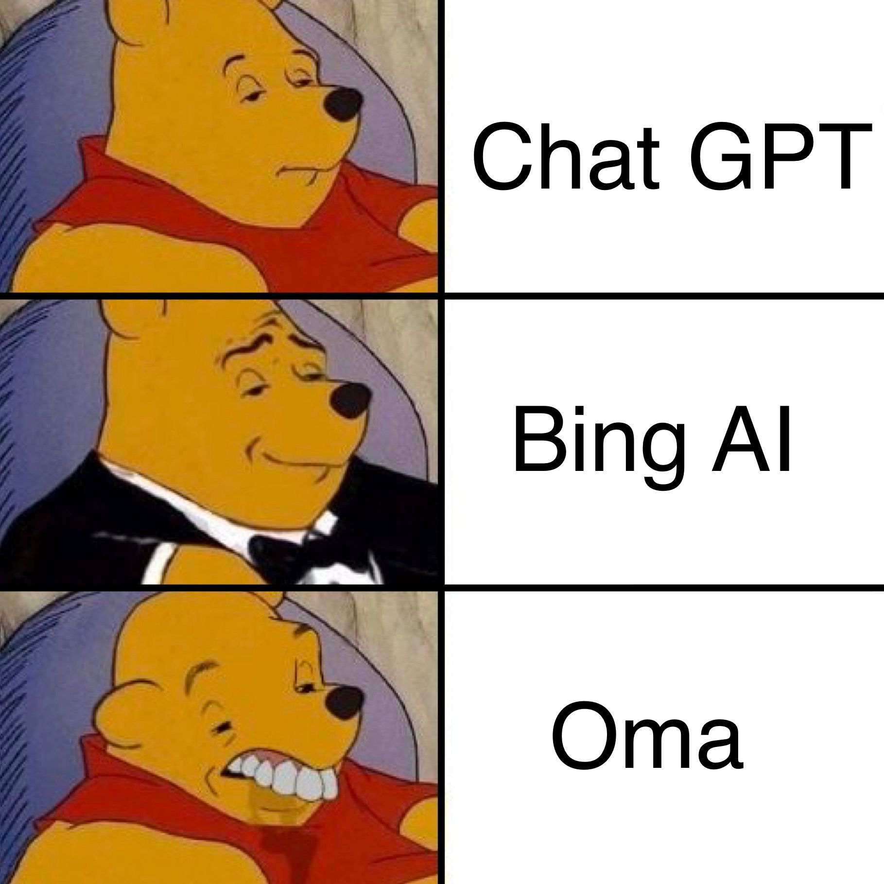 Chat GPT
Bing Al
Oma