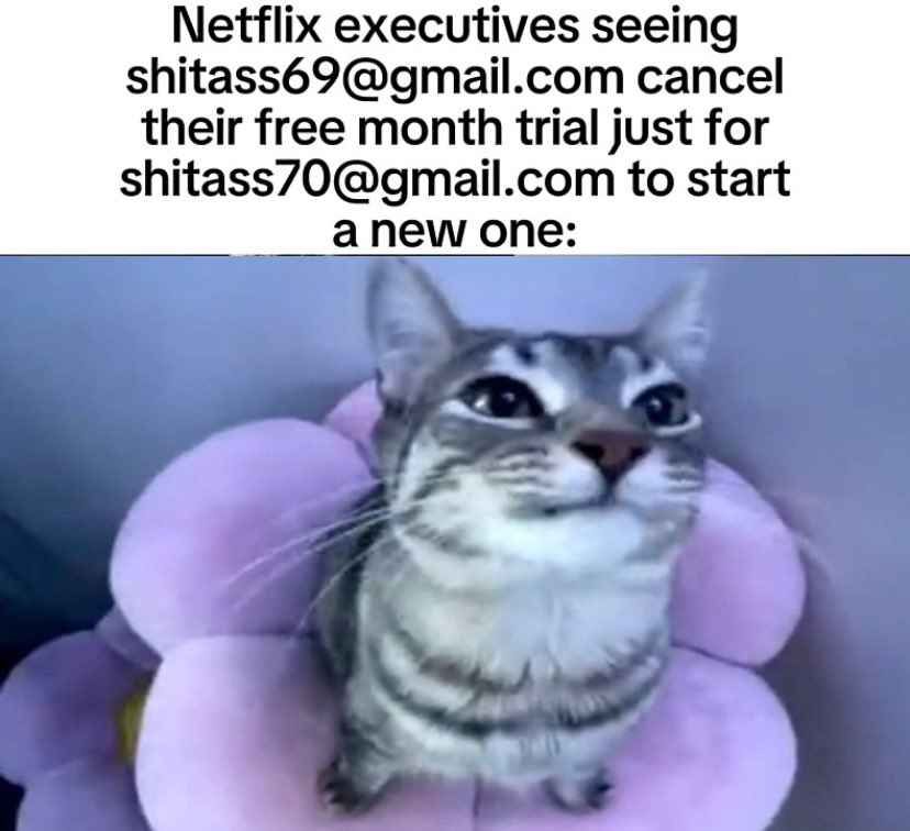 Netflix executives seeing
shitass69@gmail.com cancel
their free month trial just for
shitass70@gmail.com to start
a new one: