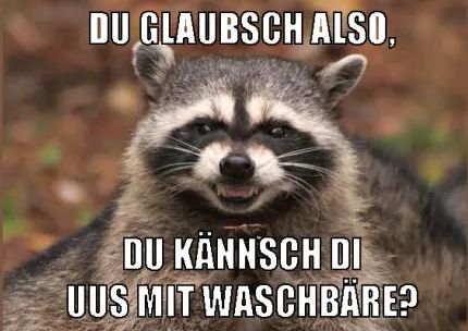 DU GLAUBSCH ALSO,
DU KÄNNSCH DI
UUS MIT WASCHBÄRE?