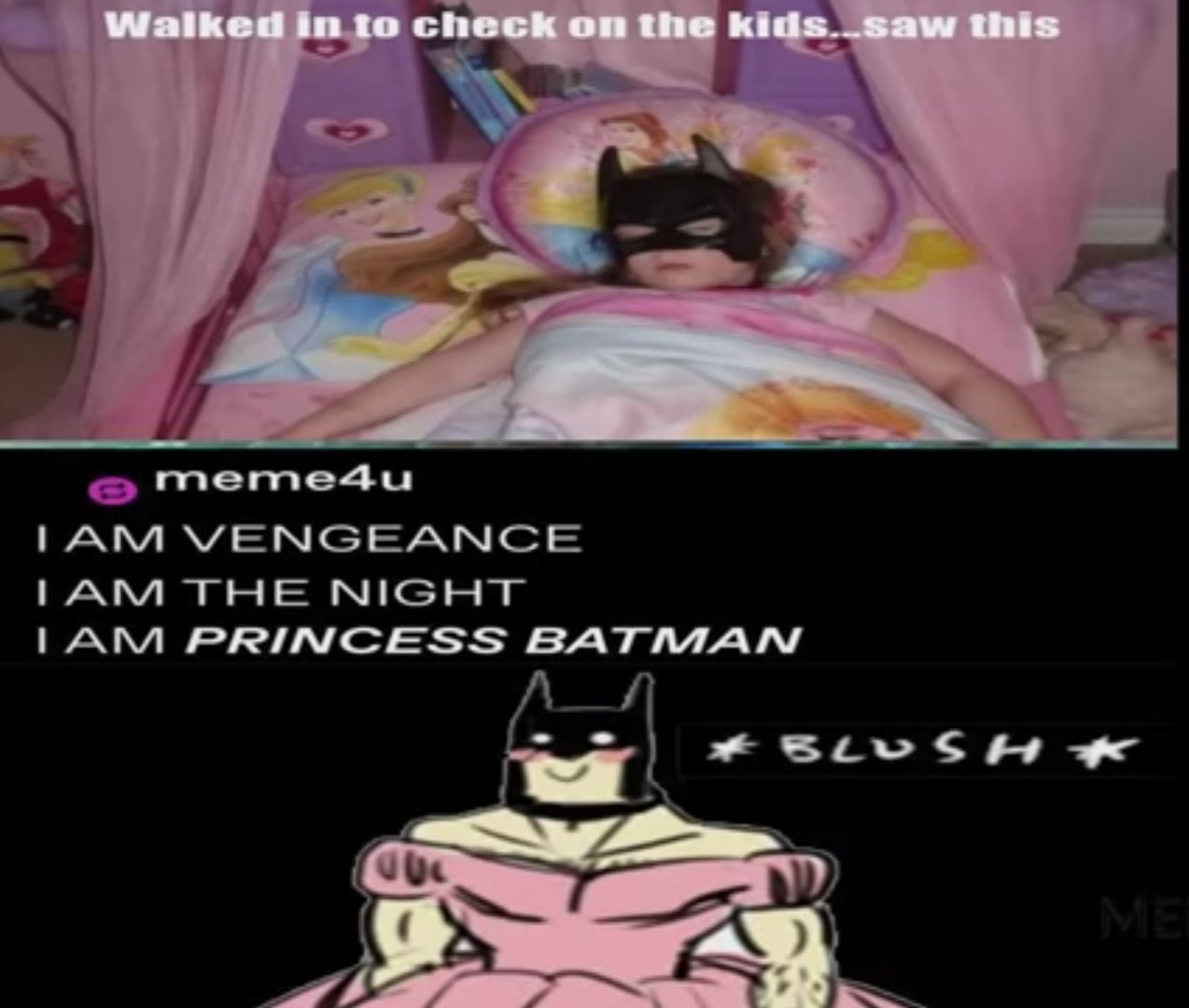 Walked in to check on the kids...saw this
meme4u
I AM VENGEANCE
I AM THE NIGHT
I AM PRINCESS BATMAN
*BLUSH *
ME