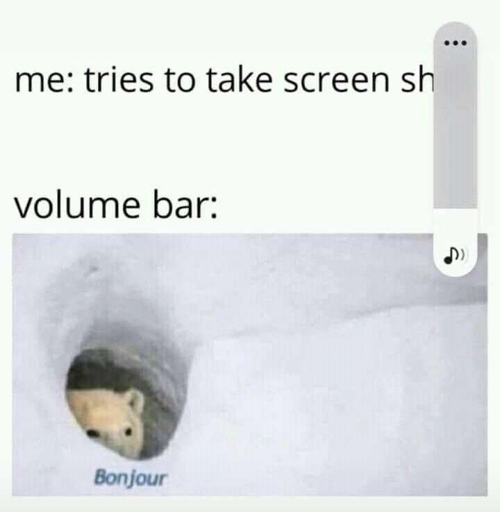 me: tries to take screen sh
volume bar:
Bonjour