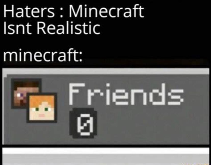 Haters: Minecraft
Isnt Realistic
minecraft:
Friends