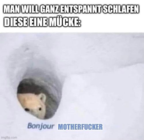 MAN WILL GANZ ENTSPANNT SCHLAFEN
DIESE EINE MÜCKE

Bonjour MOTHERFUCKER