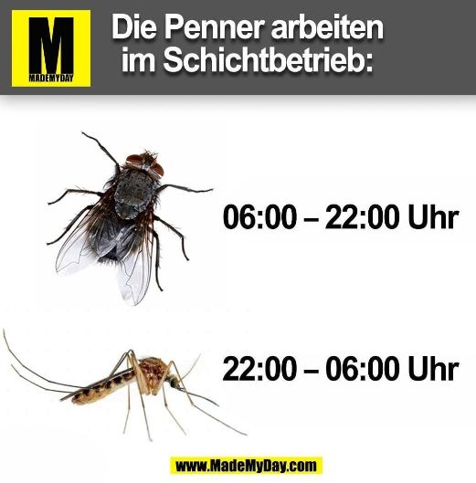 M
MADEMYDAY
Die Penner arbeiten
im Schichtbetrieb:
06:00-22:00 Uhr
22:00 06:00 Uhr
-
www.MadeMyDay.com