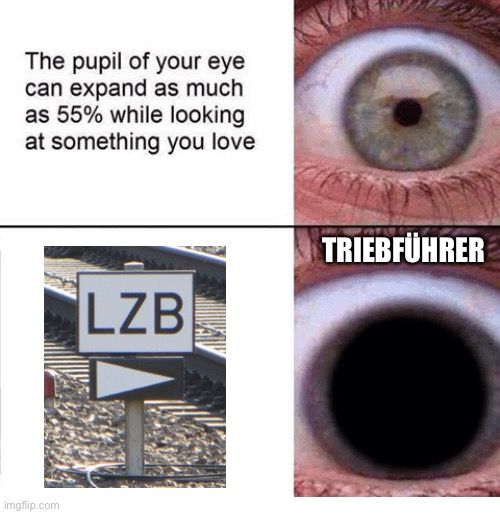 The pupil of your eye
can expand as much
as 55% while looking
at something you love

LZB
TRIEBFÜHRER